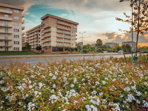נדל"ן ב Lema — עיין במנוע חיפוש הנדל"ן GEOLN.COM. תמונה 4