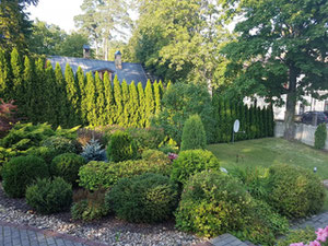 Будинок у лісі, біля моря в Латвії, Юрмала, Пумпурі — Пошуковик нерухомості від забудовників і власників GEOLN.COM. Фото 5