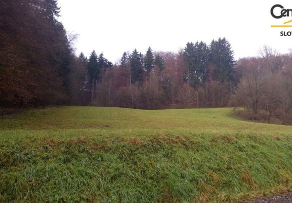 Village house in Slovenia, Zgornja Kungota