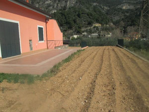 山中别墅，意大利海边，利古里亚，阿尔本加 — 来自开发商和业主的房地产搜索引擎 GEOLN.COM. 照片 3