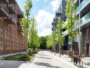 Real estate in St John's Hill — look at the real estate search engine GEOLN.COM. Photo 2