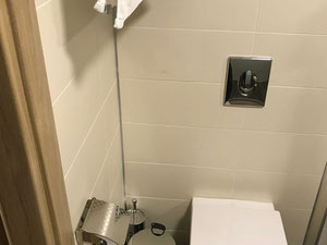 Orbi Palace Bakuriani酒店 — 来自开发商和业主的房地产搜索引擎 GEOLN.COM. 照片 5