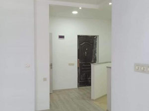 იყიდება 2 ოთახიანი ბინა — უძრავი ქონების ყიდვა და მფლო ბელებისგან GEOLN.COM. ფოტო 4