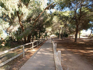 别墅 3 间卧室 117 平方米，位于西班牙拉马塔 — 来自开发商和业主的房地产搜索引擎 GEOLN.COM. 照片 29