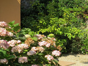 Wohnung am Meer in Italien, Ligurien, Vallebona — Immobilien-Suchservice von Bauträgern und Eigentümern GEOLN.COM. Foto 11