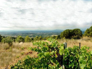 法国地块，Clermont-l'Hérault 出售 — 来自开发商和业主的房地产搜索引擎 GEOLN.COM. 照片 4