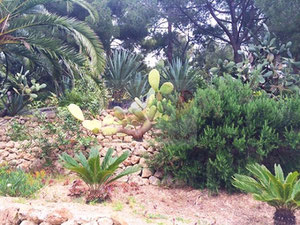 意大利文蒂米利亚海边的豪华房地产 — 来自开发商和业主的房地产搜索引擎 GEOLN.COM. 照片 4