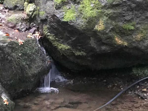 山间餐厅。提克纳斯 — 来自开发商和业主的房地产搜索引擎 GEOLN.COM. 照片 22