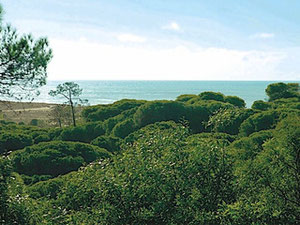 Land by the sea in Portugal, Vale de Lobo Sale — Find off-plan property or real estate resale directly from developers and owners GEOLN.COM. Photo 2