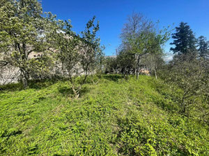 古里亚地块 — 来自开发商和业主的房地产搜索引擎 GEOLN.COM. 照片 7