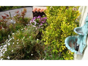 法国，普罗旺斯，埃兹的海边别墅 — 来自开发商和业主的房地产搜索引擎 GEOLN.COM. 照片 8