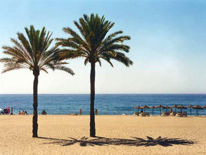 Apartment 1 bedroom 99 m² in Estepona, Spain — Find off-plan property or real estate resale directly from developers and owners GEOLN.COM. Photo 5