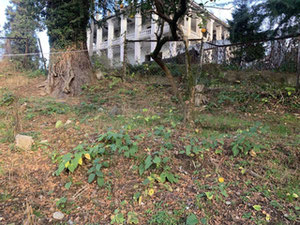 Ділянка — Пошуковик нерухомості від забудовників і власників GEOLN.COM. Фото 5