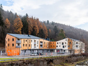 უძრავი კონება SKI & MT. BIKE APARTMENTS — გადახედეთ უძრავი ქონების საძიებო სისტემას GEOLN.COM. ფოტო 6