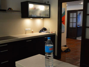 ვილა 4 საძინებელი 414 მ² ელვირიაში, ესპანეთი — უძრავი ქონების ყიდვა და მფლო ბელებისგან GEOLN.COM. ფოტო 16