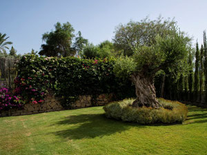 别墅 5 间卧室 592 m² 在 Flamingo, 西班牙 — 来自开发商和业主的房地产搜索引擎 GEOLN.COM. 照片 50