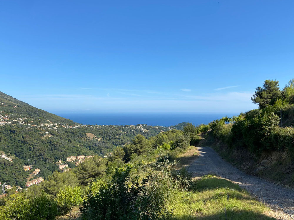 მონაკოს სიახლოვეს, დიდი მიწა — უძრავი ქონების ყიდვა და მფლო ბელებისგან GEOLN.COM. ფოტო 1