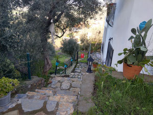 Продается Отдельный Дуплекс с Уникальным Видом На Природу — Поисковик недвижимости от застройщиков и собственников GEOLN.COM. Фото 14