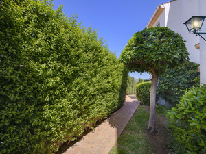 公寓 3 卧室 138 m² 在新安达卢西亚, 西班牙 — 来自开发商和业主的房地产搜索引擎 GEOLN.COM. 照片 8