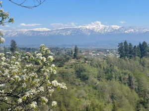 古里亚地块 — 来自开发商和业主的房地产搜索引擎 GEOLN.COM. 照片 2