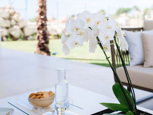 别墅 5 间卧室 721 平方米，位于西班牙新安达卢西亚 — 来自开发商和业主的房地产搜索引擎 GEOLN.COM. 照片 15