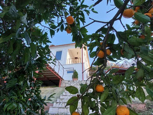 签名 Bagrationi 别墅出售 180度海景 2000M2 在 马欣贾乌里 — 来自开发商和业主的房地产搜索引擎 GEOLN.COM. 照片 12