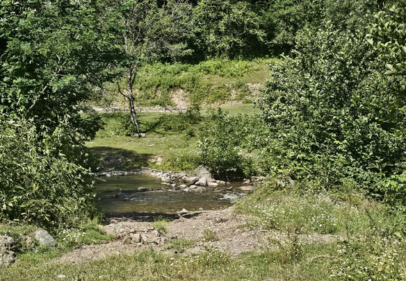 ამბროლაური
