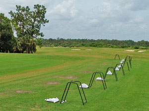 Real estate in Greyhawk at Golf Club of the Everglades — look at the real estate search engine GEOLN.COM. Photo 10