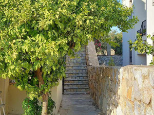 Casa en venta en Bodrum — Encuentre propiedades fuera del plan o reventa de bienes inmuebles directamente de desarrolladores y propietarios GEOLN.COM. Foto 5