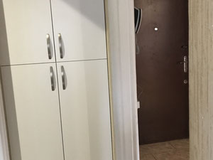 Продається відремонтована квартира в Варкетілі — Пошуковик нерухомості від забудовників і власників GEOLN.COM. Фото 7