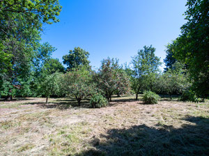 Уникальная вилла с историей - идеальна для коммерческих инвестиций — Поисковик недвижимости от застройщиков и собственников GEOLN.COM. Фото 12