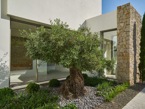 וילה 5 חדרי שינה 590 מ"ר בלה אלקריה, ספרד — חיפוש נדל"ן מפרטי ומקבלן GEOLN.COM. תמונה 19