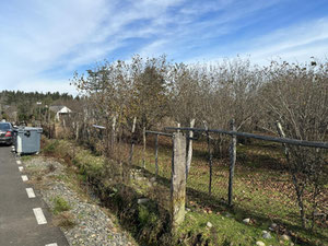 Продається земельна ділянка в селі Двабзу — Пошуковик нерухомості від забудовників і власників GEOLN.COM. Фото 6