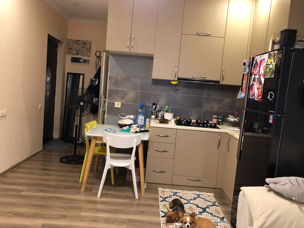 דירת 2 חדרים למכירה — חיפוש נדל"ן מפרטי ומקבלן GEOLN.COM. תמונה 1