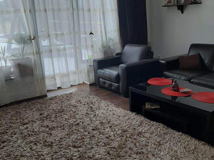 罗马尼亚苏恰瓦市中心附近待售房屋 — 来自开发商和业主的房地产搜索引擎 GEOLN.COM. 照片 17