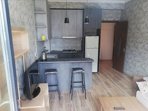 2 кімнатна квартира в Дідубе. Купити квартиру в Тбілісі, Дідубе — Пошуковик нерухомості від забудовників і власників GEOLN.COM. Фото 5