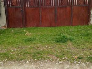 Kakheti Sighnaghi'deki ev — Sahiplerden yada inşaatcilardan mülkiyet arama GEOLN.COM. Fotoğraf 44