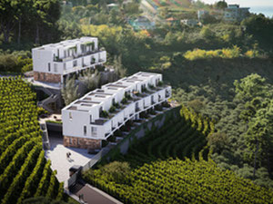 მთავარი — უძრავი ქონების ყიდვა და მფლო ბელებისგან GEOLN.COM. ფოტო 3