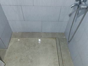 新大道优雅 — 来自开发商和业主的房地产搜索引擎 GEOLN.COM. 照片 8