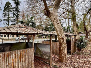 Земельна ділянка на березі річки в Поті — Пошуковик нерухомості від забудовників і власників GEOLN.COM. Фото 5