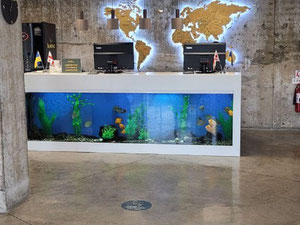 日出公寓 — 来自开发商和业主的房地产搜索引擎 GEOLN.COM. 照片 17