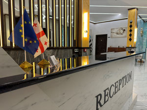 出售30间客房的酒店在祖格迪迪 — 来自开发商和业主的房地产搜索引擎 GEOLN.COM. 照片 26