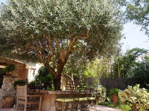 法国佩皮尼昂海边的房子 — 来自开发商和业主的房地产搜索引擎 GEOLN.COM. 照片 3