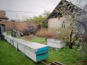 Działka z Domem — Wyszukiwarka nieruchomości od deweloperów i właścicieli GEOLN.COM. Zdjęcie 3