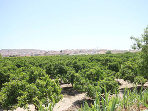 דירה 3 חדרי שינה 94 מ"ר בבניגופר, ספרד — חיפוש נדל"ן מפרטי ומקבלן GEOLN.COM. תמונה 11