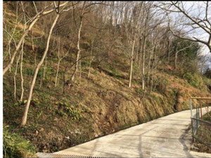 Земля на продажу в Самеба — Поисковик недвижимости от застройщиков и собственников GEOLN.COM. Фото 2