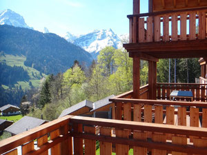 Apartment in the mountains in Switzerland, Gryon — Find off-plan property or real estate resale directly from developers and owners GEOLN.COM. Photo 4