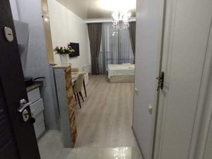 一室公寓出售 — 来自开发商和业主的房地产搜索引擎 GEOLN.COM. 照片 8