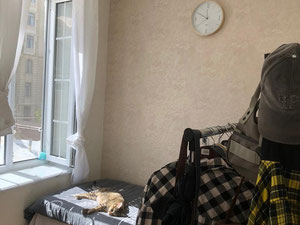 你好，来自其他国家的亲爱的客人 — 来自开发商和业主的房地产搜索引擎 GEOLN.COM. 照片 4