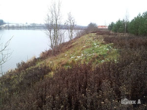 拉脱维亚，Skriveri 地区，Skriveri 出售的地块 — 来自开发商和业主的房地产搜索引擎 GEOLN.COM. 照片 13